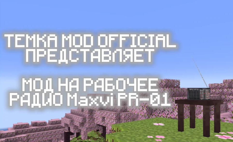 Портативное радио Maxvi PR-01